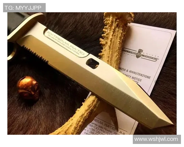 查亚普拉与帕的精彩对决分析及战术探讨