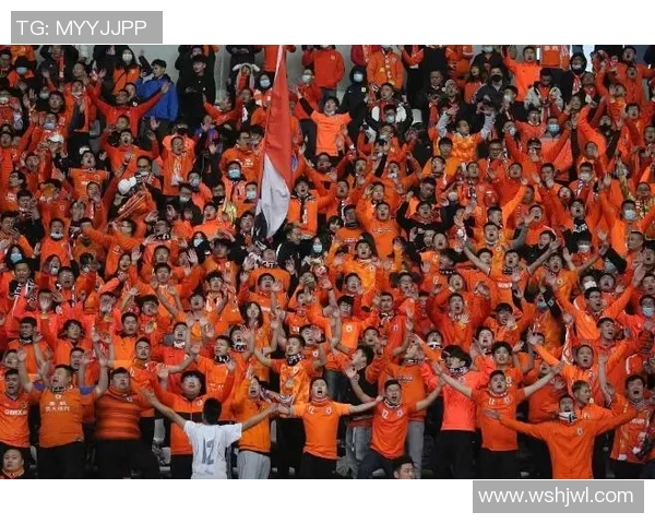 荷兰与法国激战在即11月17日精彩对决引发球迷热议