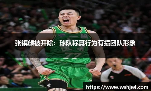 zoty中欧体育