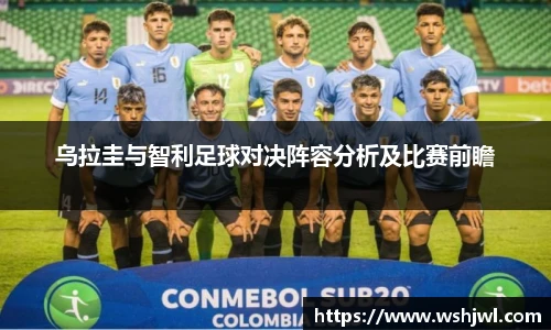 中欧体育网址