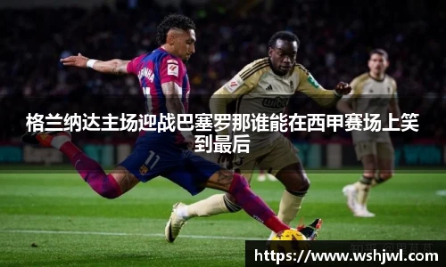 中欧体育