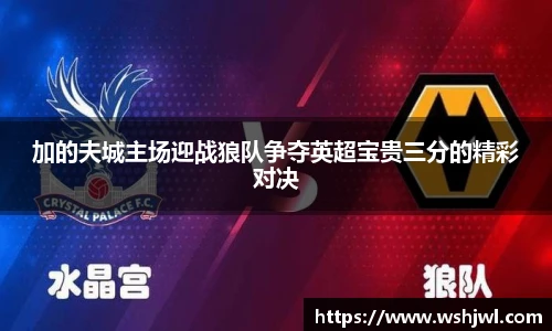中欧体育网址